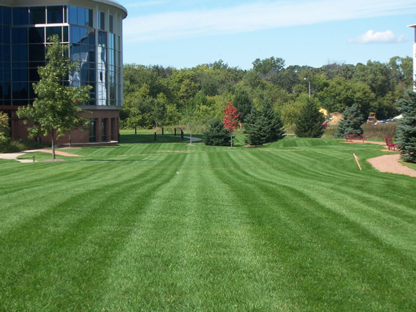 Manicured striped lawn in front of a corporate building