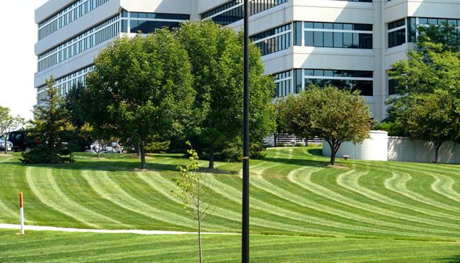 Wave-pattern lawn striping at an office park