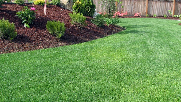 Fresh mulch beds and a lush green backyard lawn